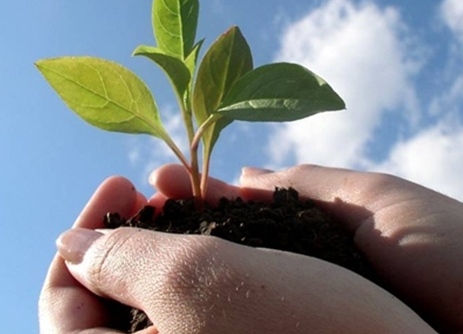 sustentabilidad-750